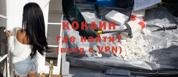 индика Приозерск