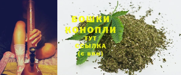 сатива Покров