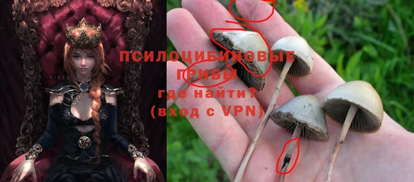 индика Приозерск