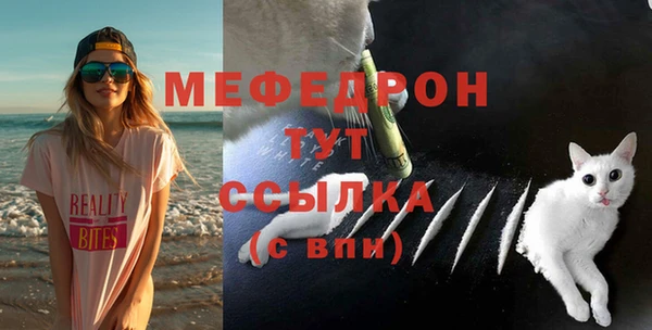 индика Приозерск