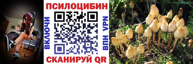 как найти Аксай Псилоцибиновые грибы ЛСД