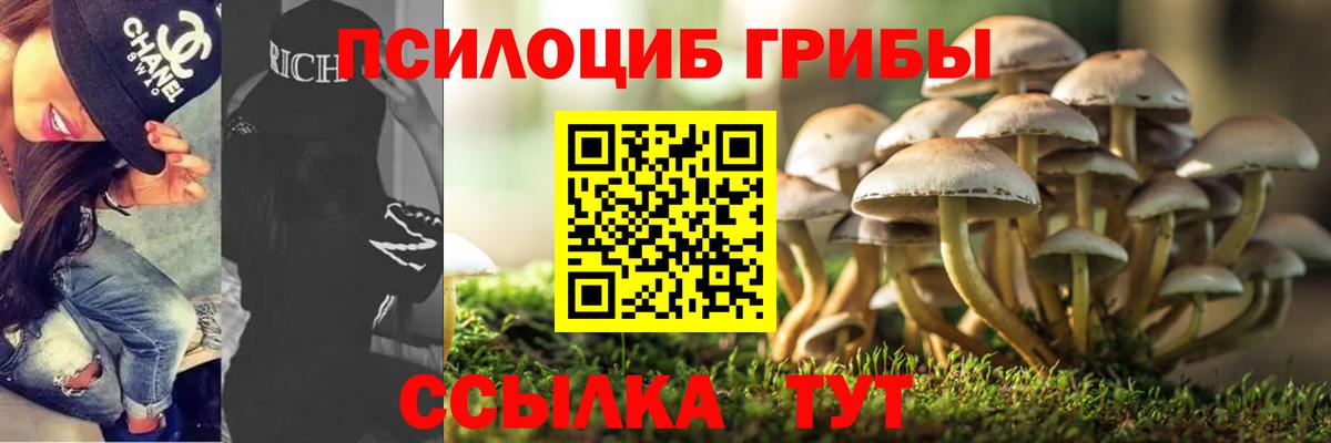 Псилоцибиновые грибы MAGIC MUSHROOMS  Псилоцибиновые грибы GOLDEN TEACHER  Аксай 