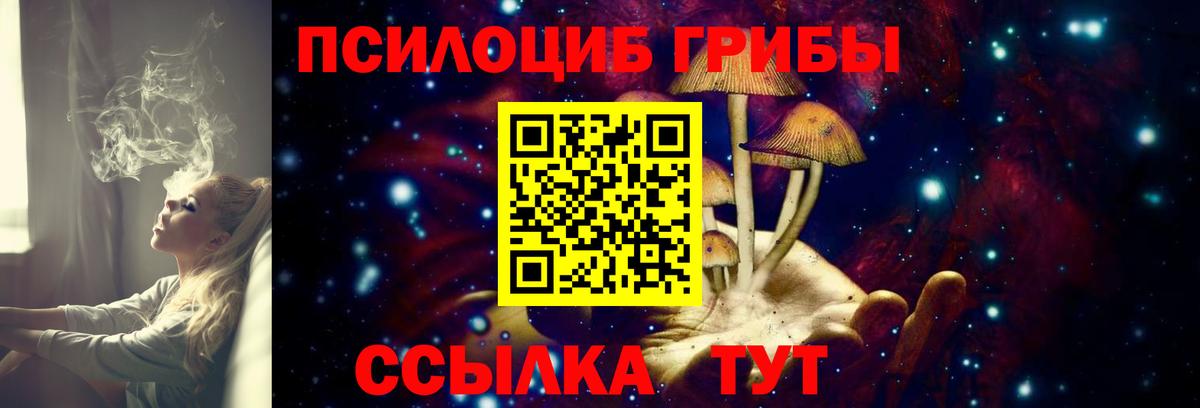 Галлюциногенные грибы Cubensis  Вход с VPN  Аксай  Галлюциногенные грибы Psilocybine cubensis 